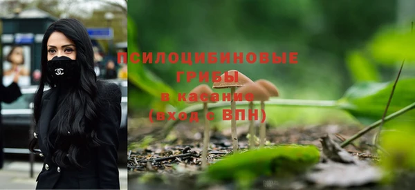 spice Абдулино