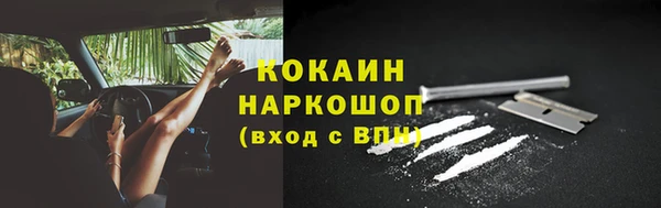 дживик Абаза