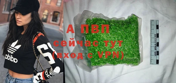 стафф Абинск