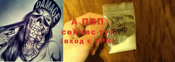 дживик Абаза