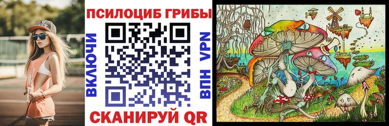 Галлюциногенные грибы Cubensis Ковдор