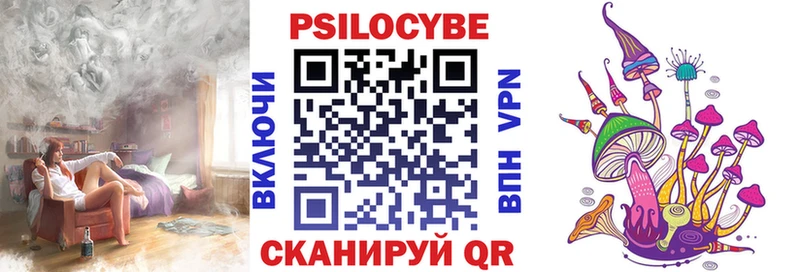 Галлюциногенные грибы Psilocybe  Ковдор 